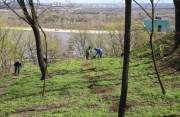 В Киеве убрали от мусора 20 парков и высадили деревья